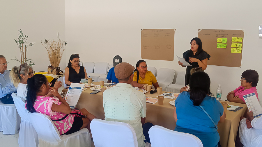 Talleres Grupos Focales Etapa 2